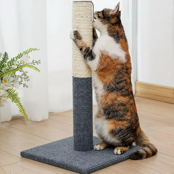 Lesure - Poste rascador para gatos pequeños, cuerda de sisal de alta  calidad, altamente resistente, bonitos postes rascadores para gatitos de