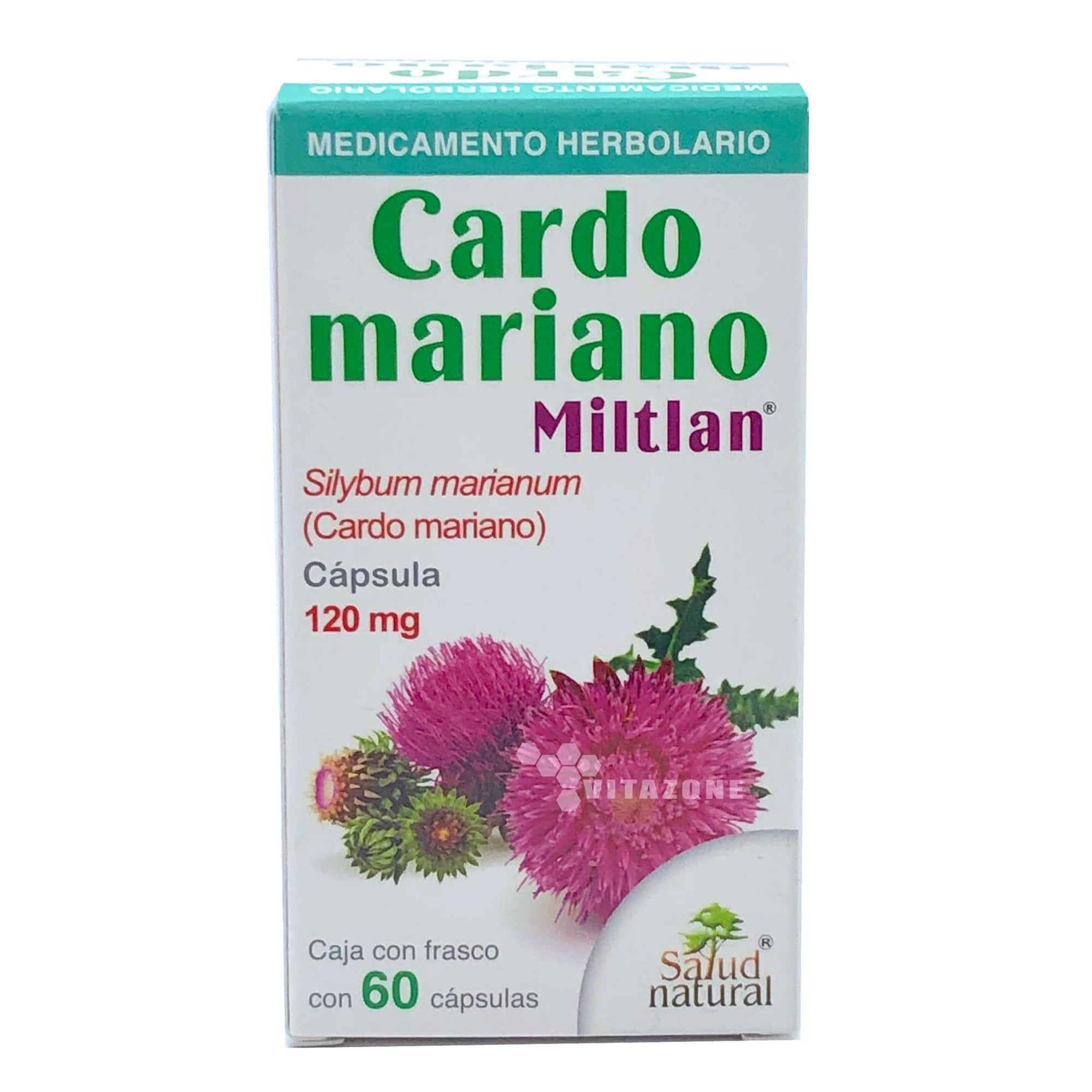 Cardo Mariano Miltlan Salud Natural 60 cápsulas Salud Natural  SALUDCARDOMILTLAN
