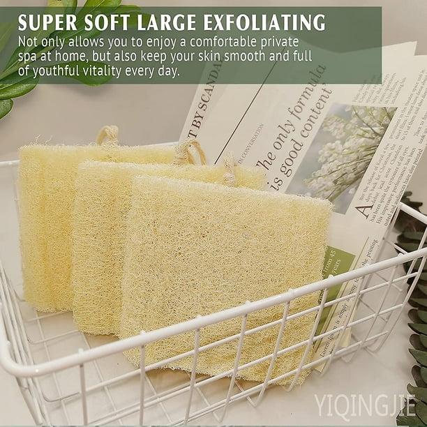 Esponja natural de lufa para el baño o la cocina 100% biodegradable