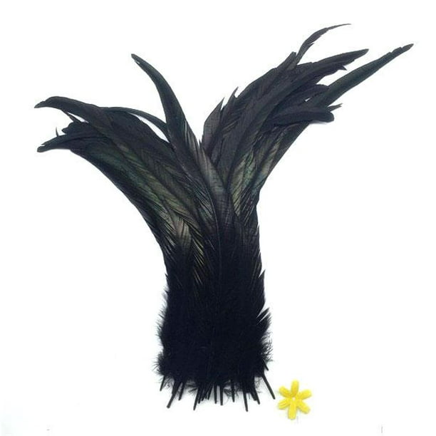  50 plumas naturales de cola de gallo de 25 a 17.7 in, plumón,  decoración de ropa de escenario, rendimiento de cola de pollo, plumas negras  de 35 a 15.7 in : Arte y Manualidades
