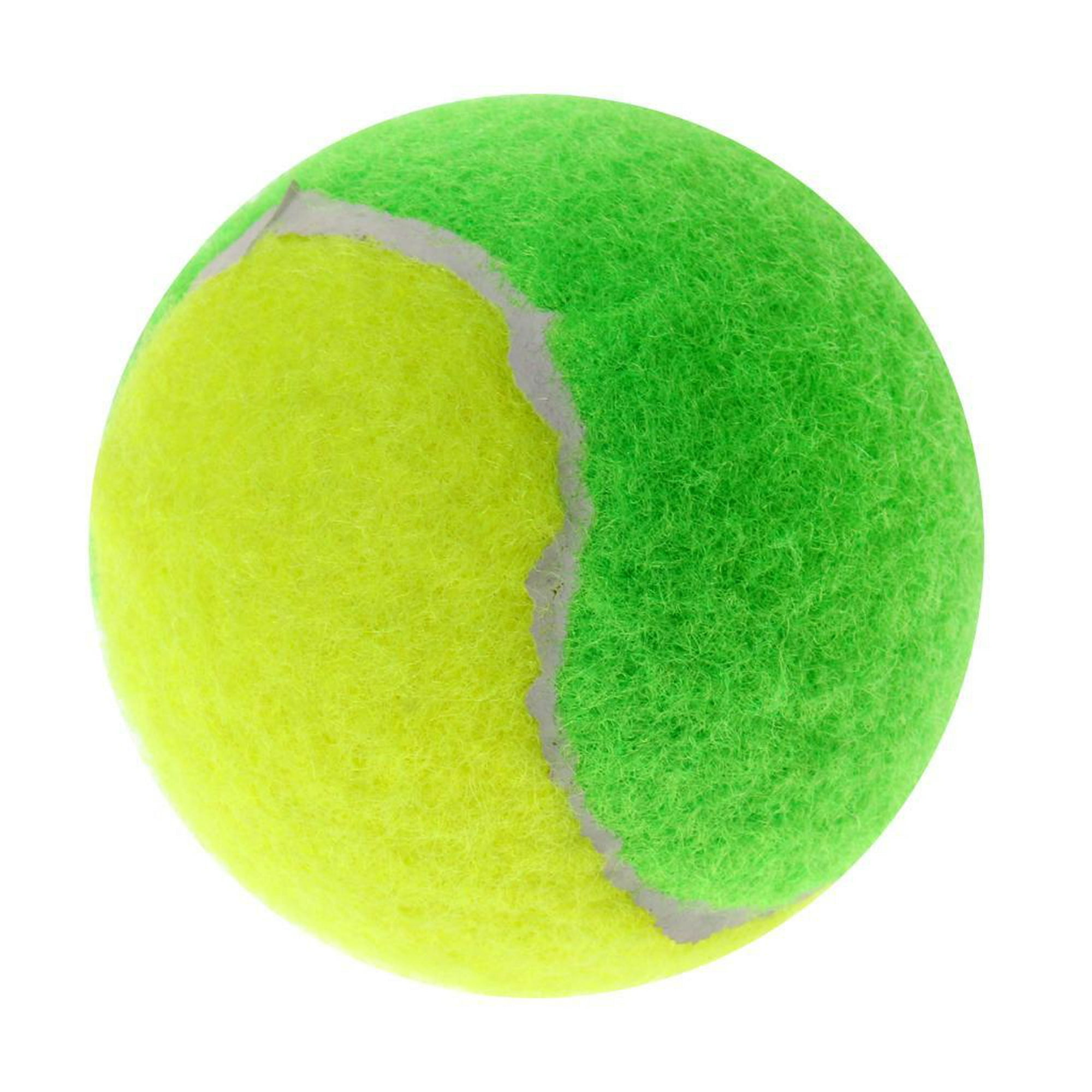  Pelotas de tenis de práctica, pelotas de pádel, pelotas de  tenis para perros y todos, pelota de perro, pelotas de pádel/pelotas de  tenis, paquete de 3 en lata transparente para transporte 