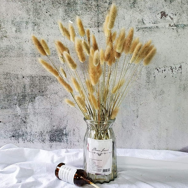 Decoración de flores naturales de Pampas secas esponjosas, hierba de cola  de conejo seca para arreglos florales de boda Boho, decoración de bricolaje  para el hogar de la habitación - AliExpress