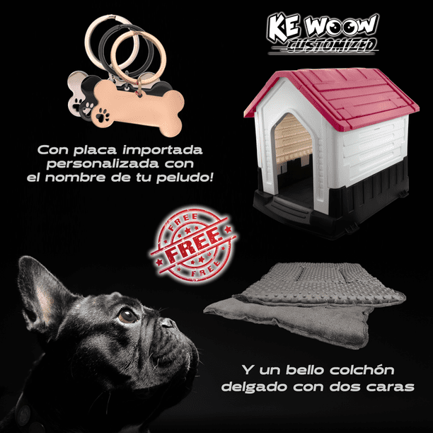 Exitoso negocio de casas para mascotas refrigeradas - KYMA