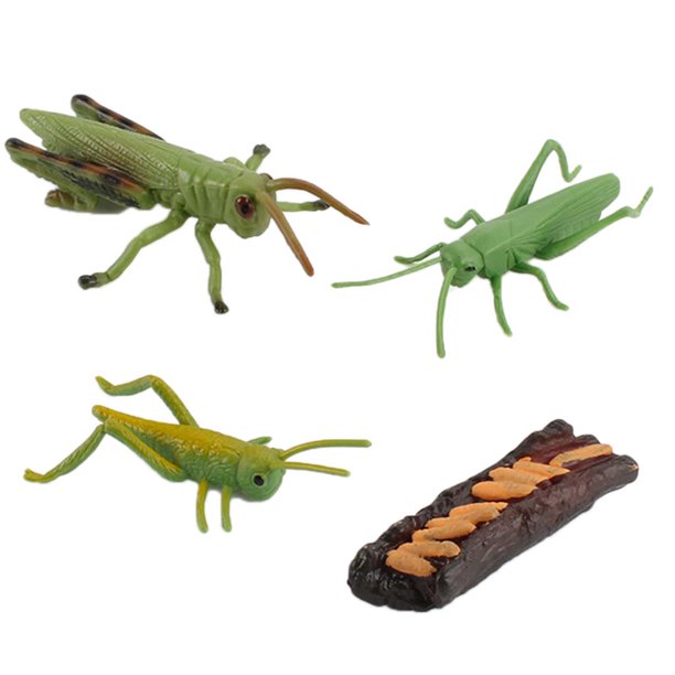 Un par de insectos de juguete caminando por un camino de tierra imagen  generativa de ia
