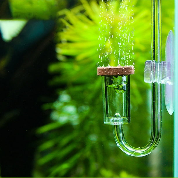 Difusor de CO2 de vidrio para acuario plantado para tanque transparente  para nano tamaño fácil de instalar con ventosa para tanque Ato