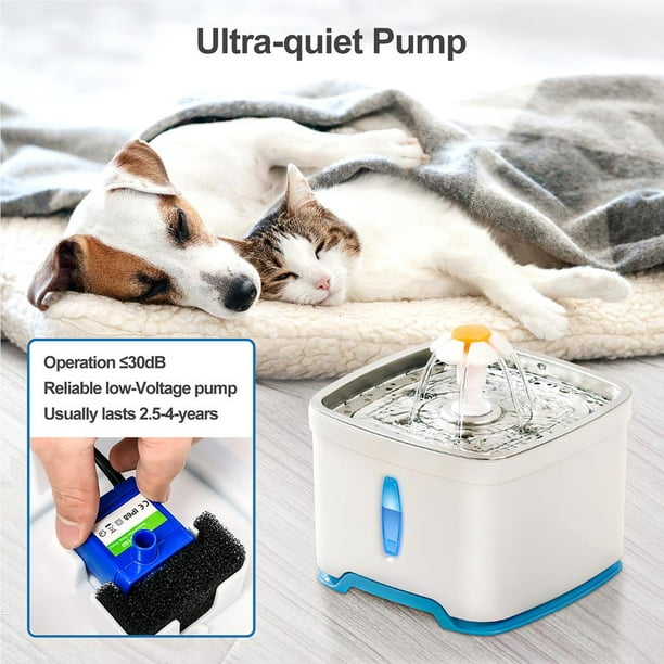 Basics - Dispensador de agua para mascotas, bebedero y comedero,  grande, Blanco : : Productos para mascotas