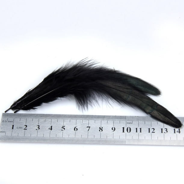 50 plumas negras con 10 ~ 12 pulgadas de largo, hermosas plumas