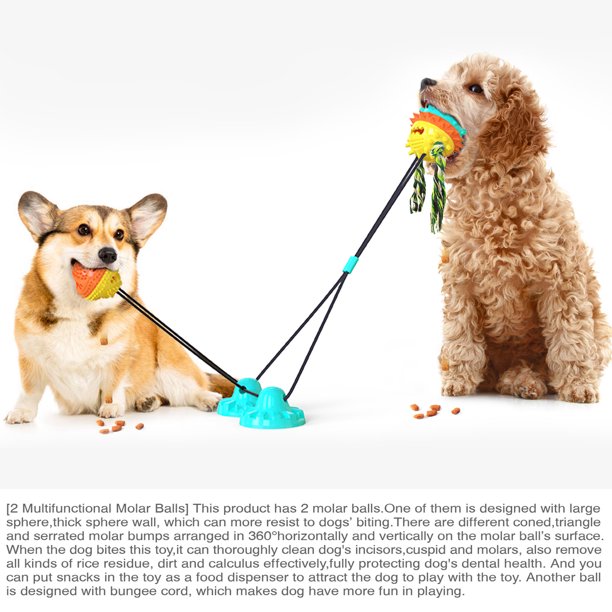 Juguetes para perros para masticadores agresivos Juguetes interactivos para  perros de razas gra CACAGOO Juguetes para perros