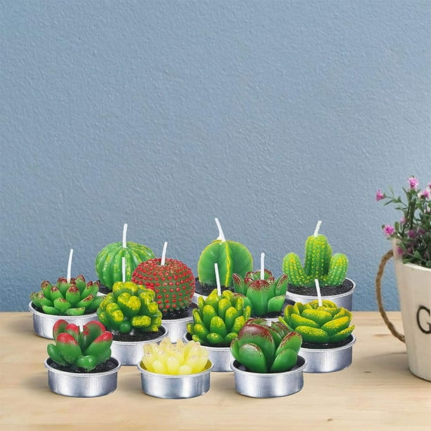 Velas Decorativas Cactus y Suculenta Artificiales 12 Pz