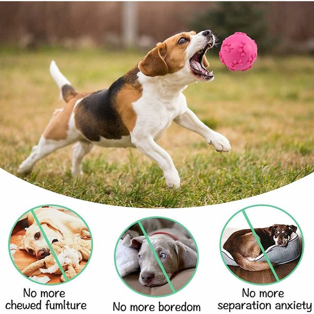 Pelotas de juguete para perros, pelotas de juguete con sonido, pelota de  masticar de juguete para perros, pelota de limpieza de dientes molares para  cachorros, para perros pequeños y medianos (3 piezas)