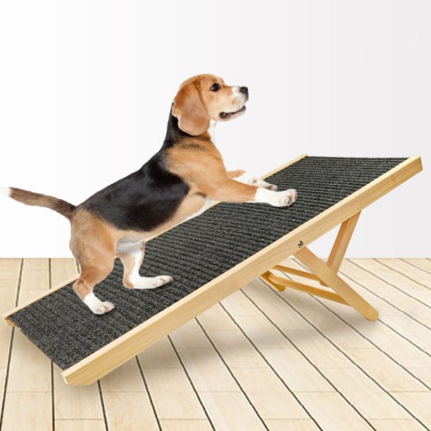 Comprar Rampa Petwalk para Perros ¡Mejor Precio! - PETSWORLD