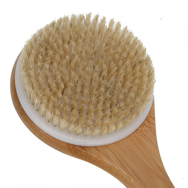 EASACE Cepillo corporal de baño de mango largo y aplicador de loción para  depurador de espalda, cepillo de ducha con cerdas suaves para húmedo o seco