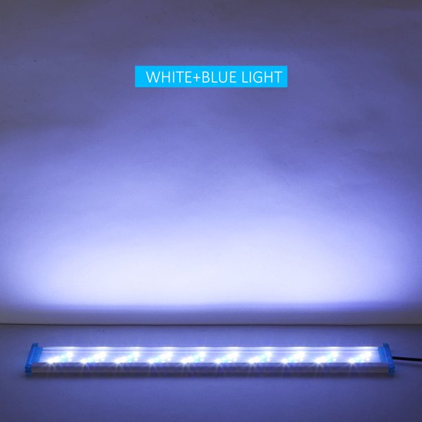 Luz LED para acuario 28 cm / 11,02 pulgadas Luz para pecera de 5,12  pulgadas Soportes exten Irfora CLORURO DE POLIVINILO