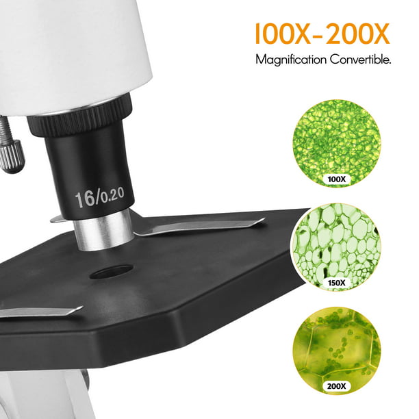 Microscopio 300X-1200X para niños principiantes microscopios monoculares  compuestos de laboratorio con lentes de vidrio óptico e iluminación LED 