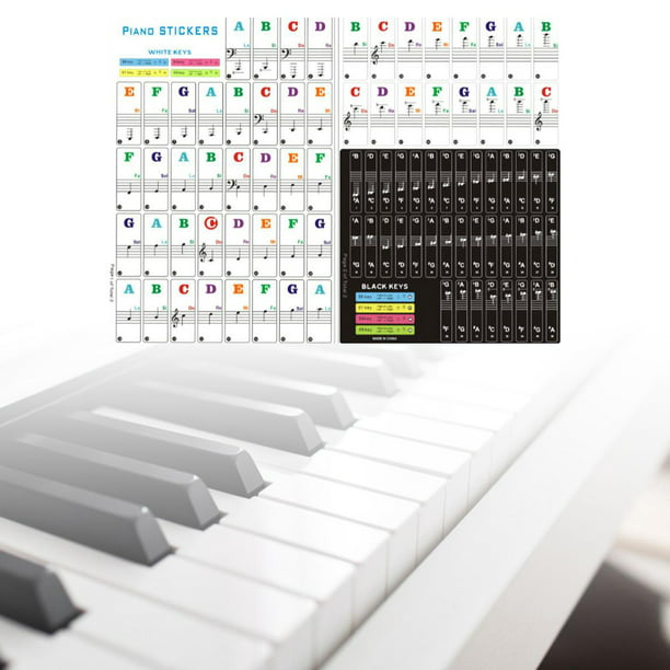 Pegatinas para teclado para teclas 88/61/54/49/37. Letra más grande y  colorida, material más delgado CUTICAT Pegatinas de teclado