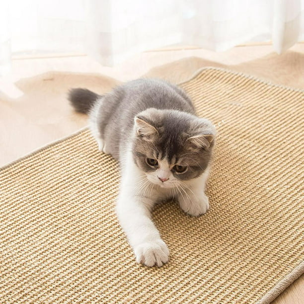 Pet Soft Tapete rascador para gatos, paquete de 2 alfombrillas de sisal  natural para gatos de interior, almohadilla rascador para gatos, se pega en  el
