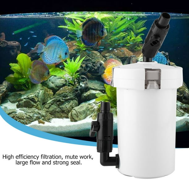 Tanque de peces de acuario Filtro de recipiente externo con bomba Mesa de  filtro de acuario Filtros ANGGREK Otros