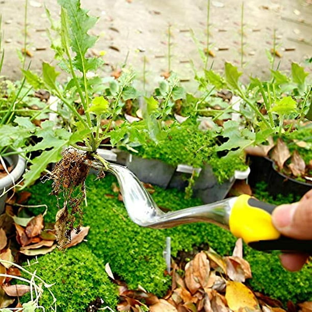 2 herramientas de extracción de malas hierbas para arrancar de raíz,  herramienta portátil para extracción de malezas de jardín con 4 dientes