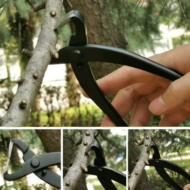 Manta herramientas de bonsái  Herramientas bonsái acero inoxidable