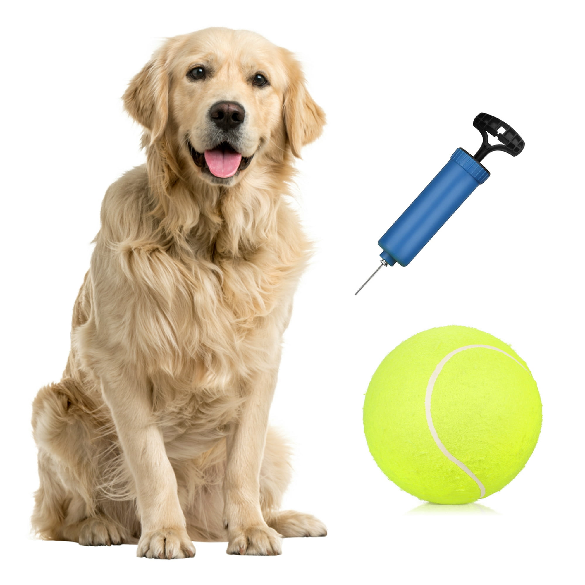 En el exterior de caucho blando juguete perro Frisbee de goma - China Los  juguetes y juguetes de perro de mascota precio