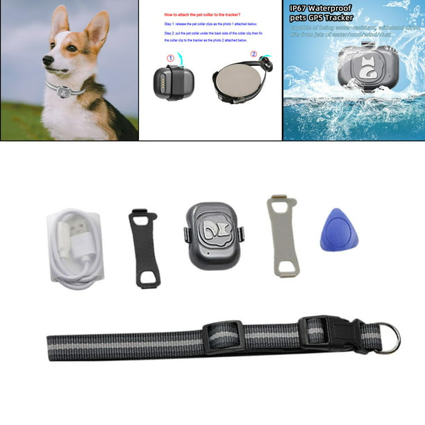 Rastreador GPS para mascotas, seguimiento GPS para perros y buscador de  mascotas, accesorio GPS para collar de perro, localizador impermeable