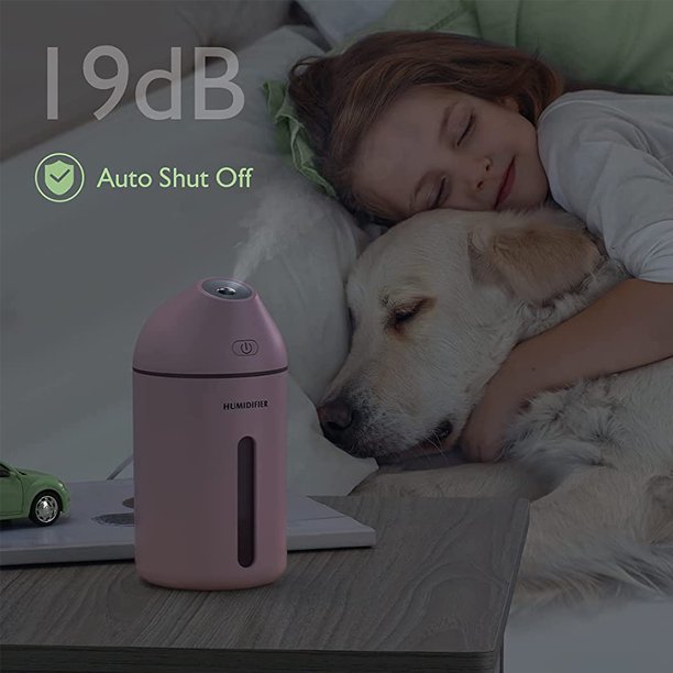 Mini Humidificador para Auto o Casa –