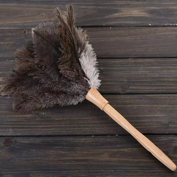 Pamex - Plumero de plumas de avestruz 64 cm, mango de madera con cordón, plumero  atrapapolvo, plumas suaves, reutilizable, lava