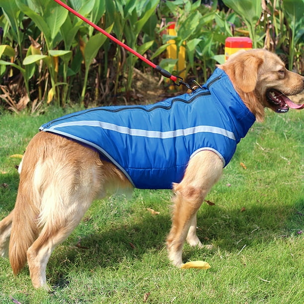 Abrigo para perros Chaqueta y cálida para mascotas Ropa impermeable para perros con tiras refl Muyoka Hogar | Walmart en