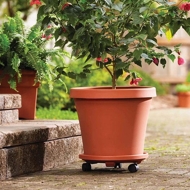 Soporte Para Maceta Estante Jardín Plantas Interior Exterior,Soporte de  metal para plantas de 8 niveles, estante para macetas, organizador de  almacenamiento para balcón, jardín, interior y exterior ZZBIQS gris oscuro,  141cm x