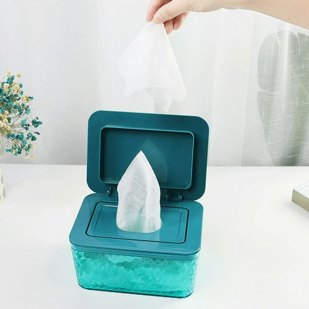 Tinkei - Dispensador de toallitas húmedas para bebés, caja de  almacenamiento para servilletas, contenedor a prueba de polvo, caja de  pañuelos húmedos