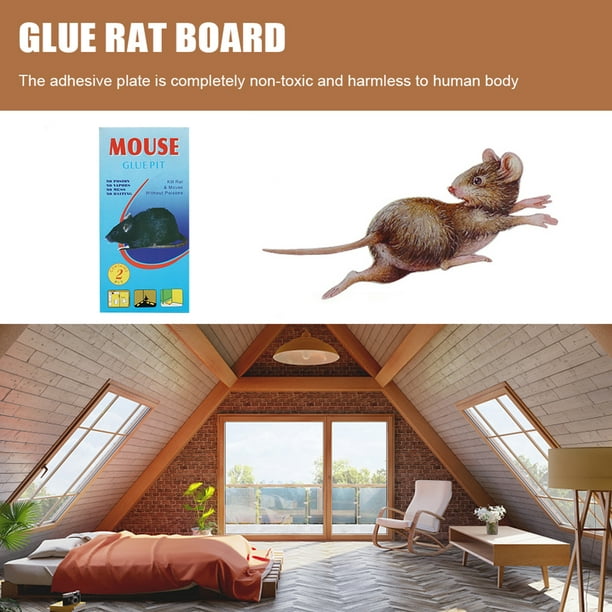 Trampas para ratones humanas para interiores para el hogar, trampas para  ratones para interiores y casas, trampas inteligentes para atrapar ratones