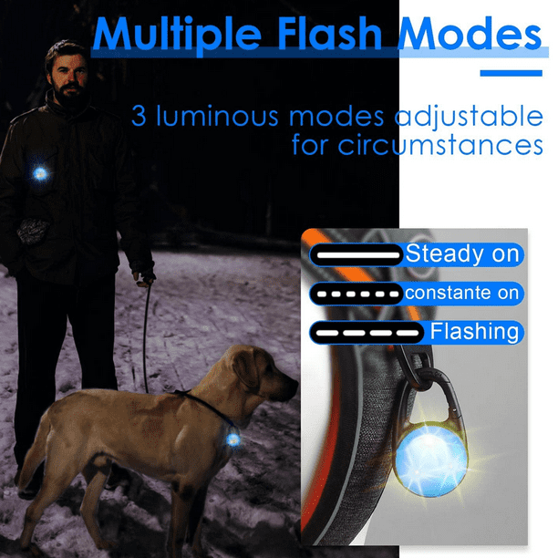 Luz de collar de perro para caminar de noche - Clip de luz de noche de perro  Flash impermeable para MFZFUKR CPB-US-YY438-4