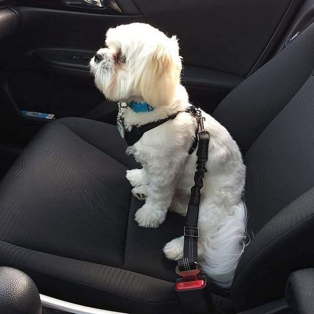 Cinturón de coche para perros, encaje universal