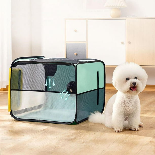 Caja de secado inteligente para perros grandes, secador de baño