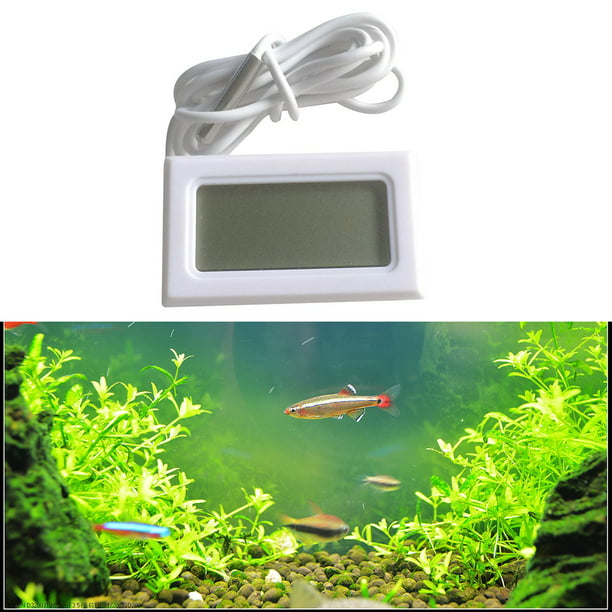 Methold Mini pantalla LCD digital Termómetro para pecera Higrómetro Acuario  interior Medidor de temperatura de humedad Termómetros de acuario blanco