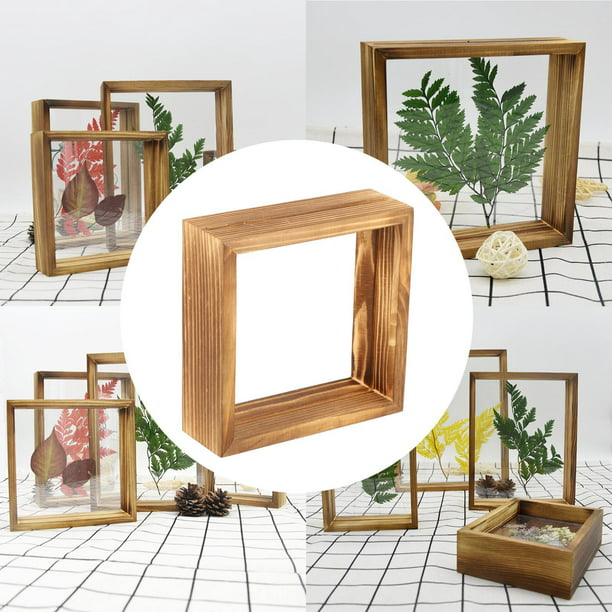 Marco de fotos de 3 pulgadas, marco de fotos pequeño de madera, marco de  fotos de collage de plantas, marco de espécimen, marco de fotos novedoso