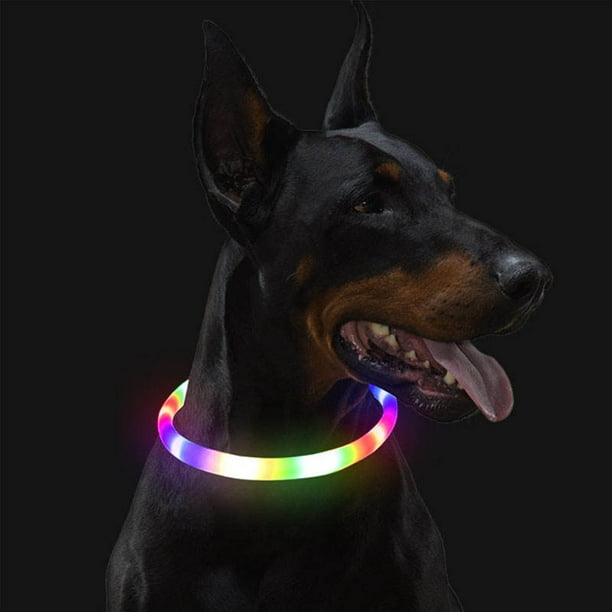 Collar de perro iluminado para caminar por la noche, collar de perro  recargable impermeable con LED, collares de perro que brillan en la  oscuridad