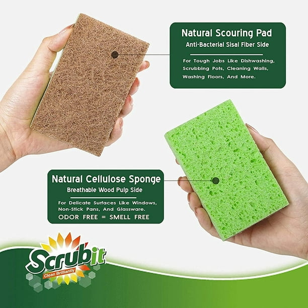  Esponja de cocina natural (paquete de 3) - Esponjas naturales  para platos - Esponjas ecológicas - Esponja compostable - Esponjas  biodegradables de cocina - Esponja de cocina natural a base de plantas :  Salud y Hogar