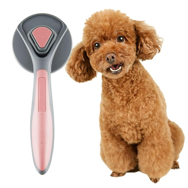 Pet Pro Essentials Cepillo para perros y gatos. Quita pelos mascota, Cepillo  quitapelos mascotas + peine para gatos, Peine para perros y gatos  accesorios (Cepillo Azul) : : Productos para mascotas
