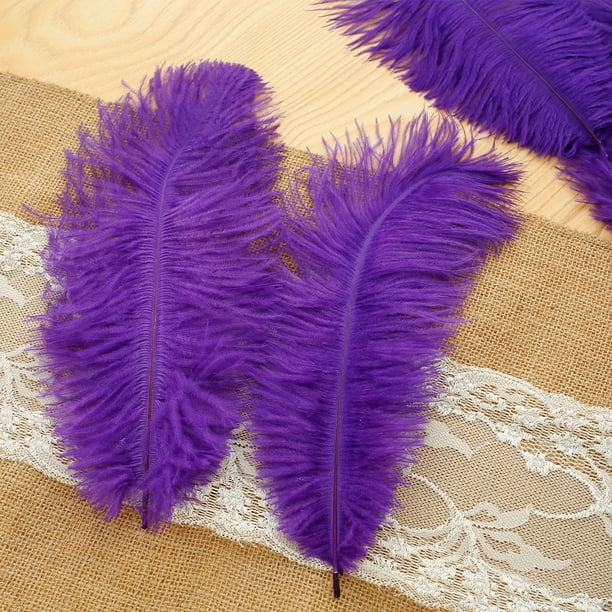  YOUTEXING 50 plumas de avestruz de 5.9-7.9 in, plumas, para  manualidades, joyería, boda, fiesta, costura, accesorios, boas de plumas  (color : pluma púrpura claro) : Arte y Manualidades