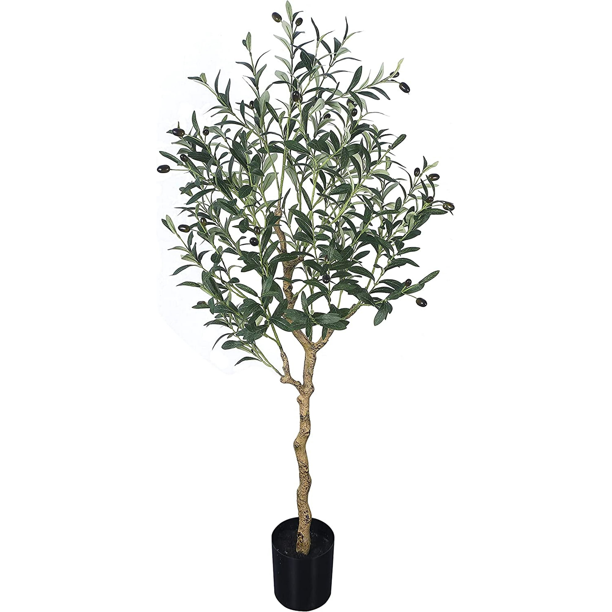 SCNROU Árbol de olivo artificial de 5 pies de alto, árbol de seda de olivo  en maceta con maceta, grandes ramas de olivo sintético y frutos, árbol –  Yaxa Colombia