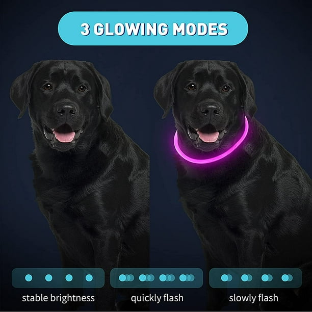 4 luces para perros para caminar de noche, collares para perros