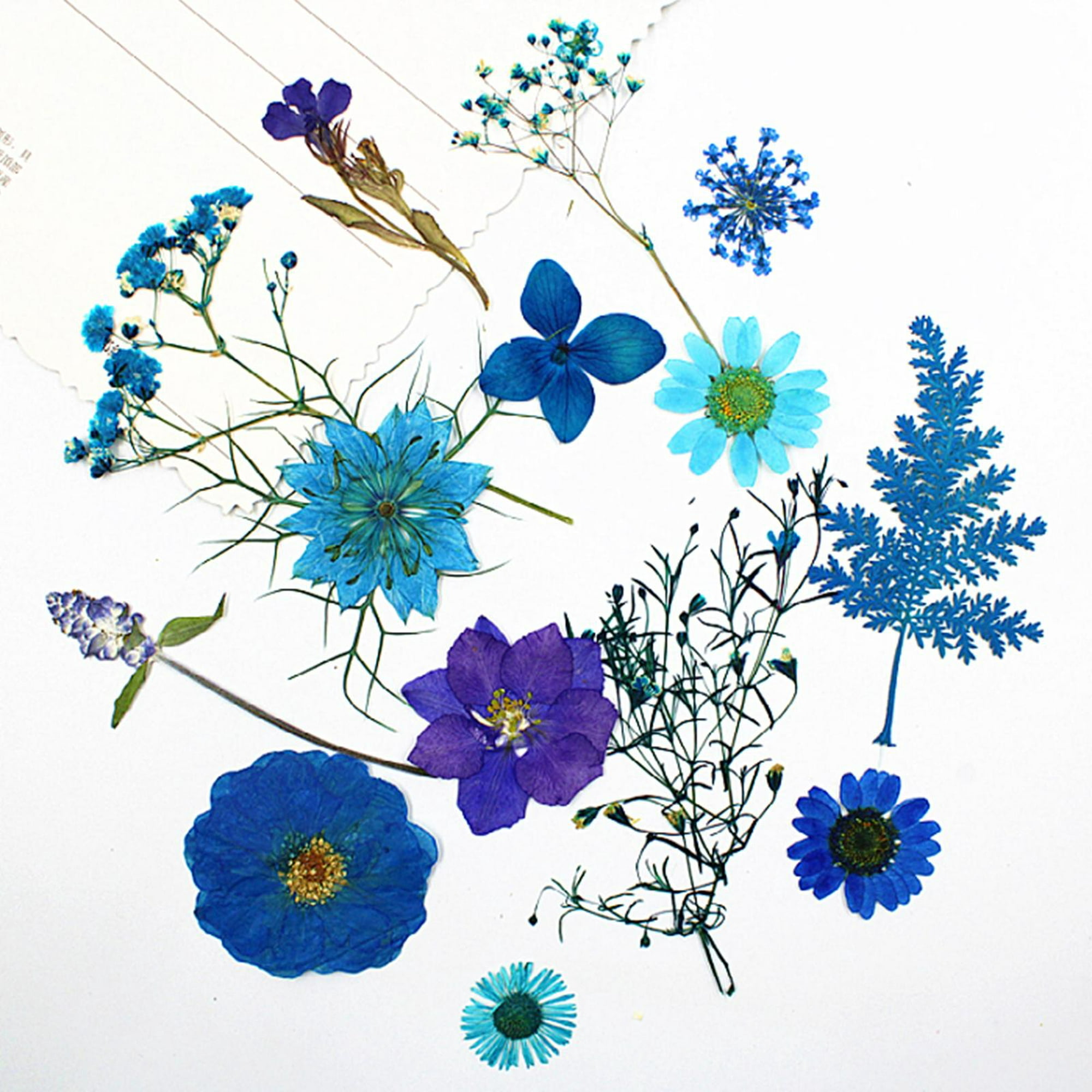 Flores Secas con Tallo Azules para Resina - Megabyte Papelería, C.A.