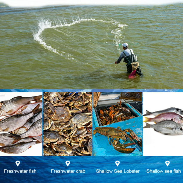 Red de pesca Trampa de malla para peces Monofilamento Red branquial  Aparejos de pesca al aire libre