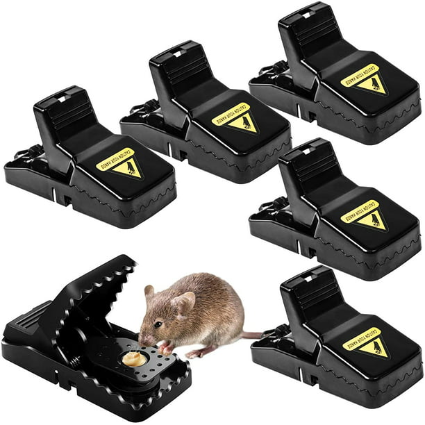 Trampas para Ratones, Trampas para Ratones Vivos, Trampas Múltiples para  Ratones en Existencia - ULINE