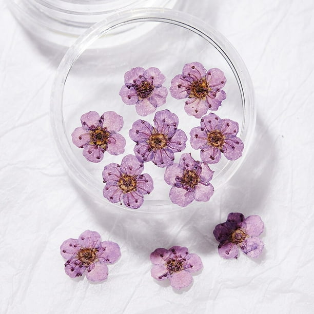24 piezas de flores secas en 3D para uñas, flores secas para decoración de  uñas de resina, accesorios de arte de uñas secas prensadas, consejos de