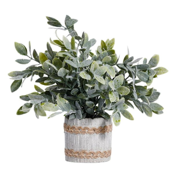 Planta artificial en maceta Bonsai en maceta gris Plástico Faux Pequeña  vegetación Decoración Mini plantas falsas para estante de Decoración de  Pequeño Macarena plantas en macetas falsas