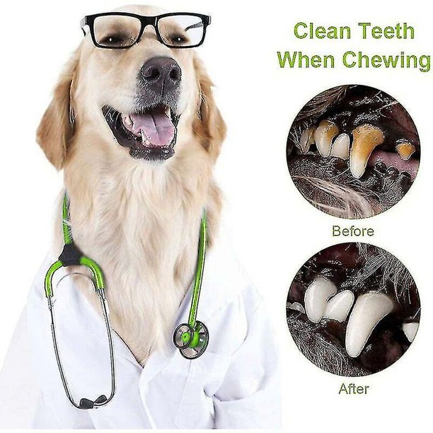 Juguetes para perros para morder, mordedores, higiene dental, interactivo