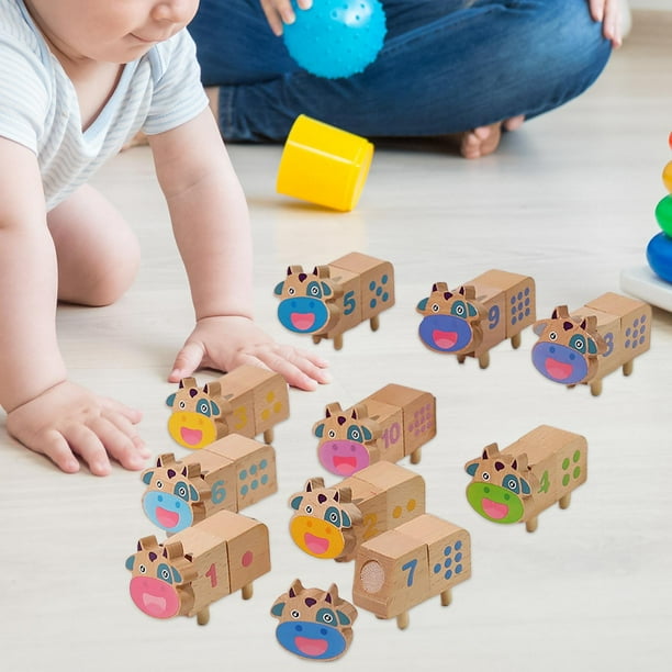 Juguetes Montessori para niños de 1 año: bloques de clasificación de madera  para bebés niños y niñas, juguetes sensoriales para niños pequeños de 1 a