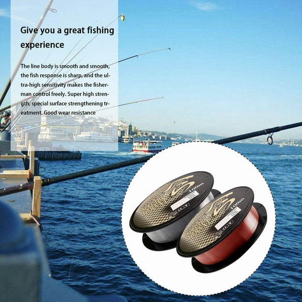 Sonducket Sedal de pesca de nailon monofilamento de 100M, sedal de pesca de  nailon Tippet, línea de Material japonés, accesorios de pesca de Type2 NO2